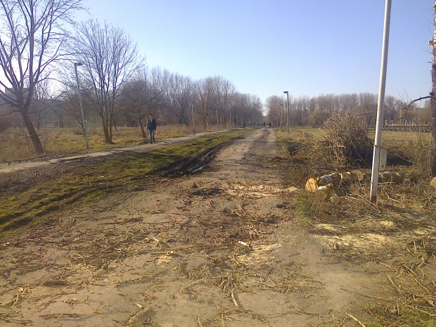 Центральна алея у парку "Топільче"